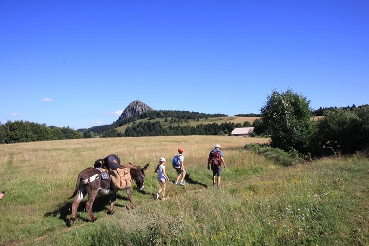 Rando tour guidé des volcans des monts d'Ardèche avec un âne