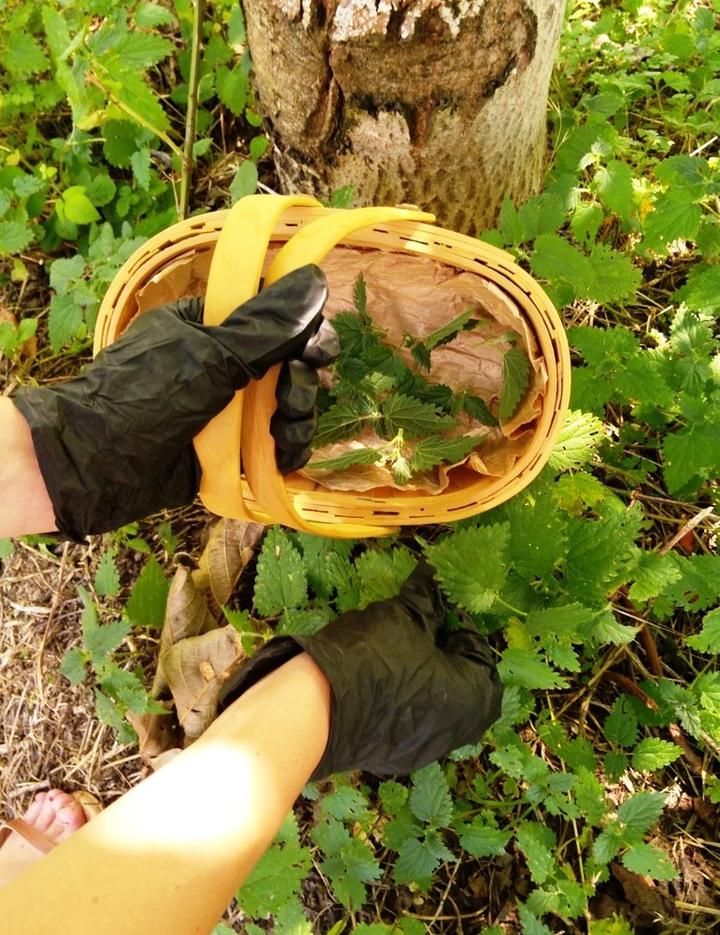 Le Vallon d'Armandine