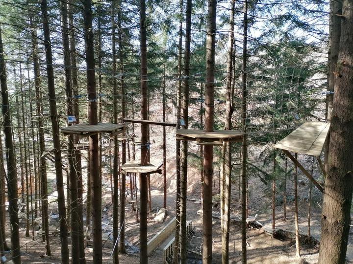 Auvergne Parc Aventure 1