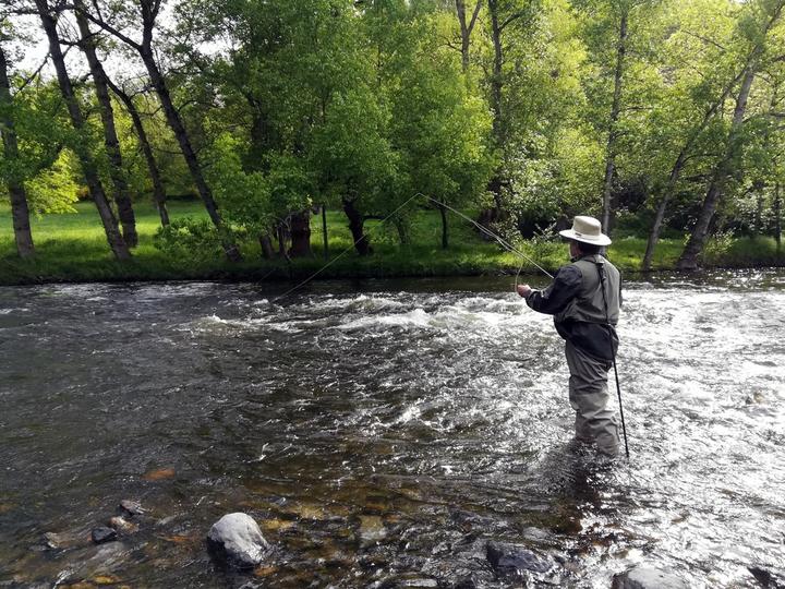 pêche à la mouche pêche à la mouche sur la rivière Allier à Langeac
