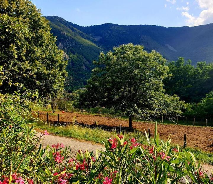 Le paysage depuis le gîte