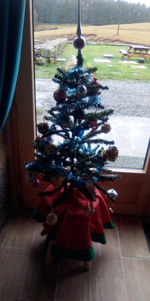 2020 1er Noël au Turquoise, pas sans un sapin!