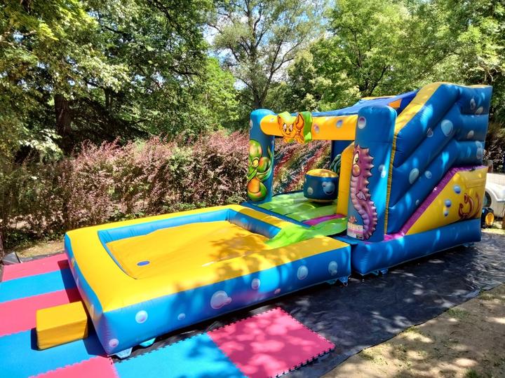 COS Bageasse Pleine Nature