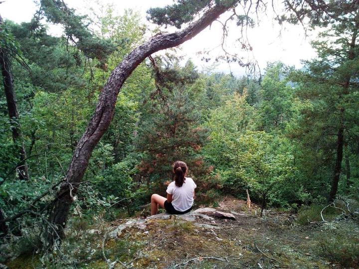 Janette Clémensat Janette Clémensat