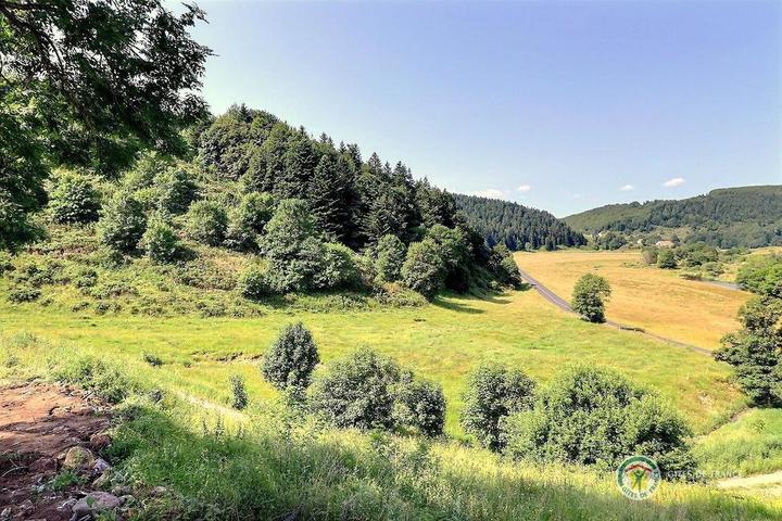 Vue sur la nature depuis le gîte