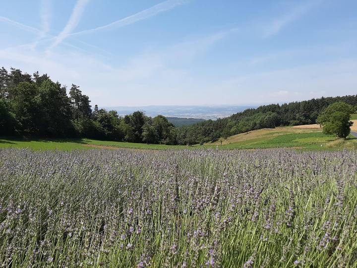 Le Vallon d'Armandine