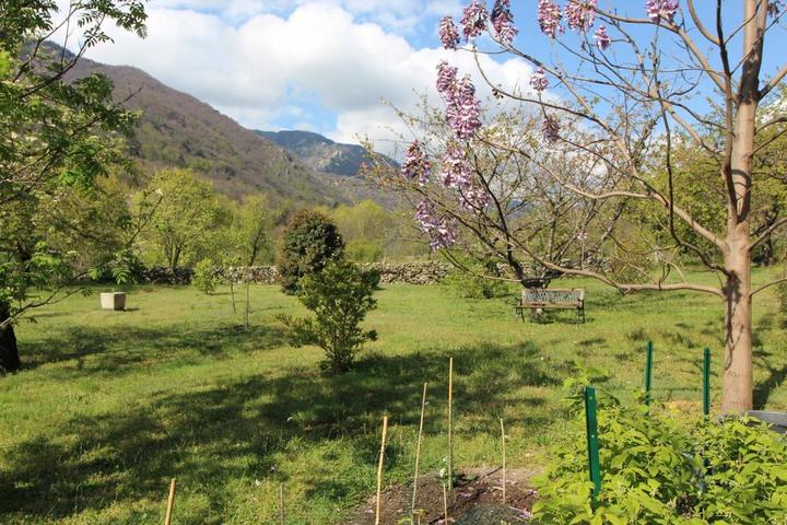 Le grand jardin ombragé et fleuri partagé avec la propriétaire