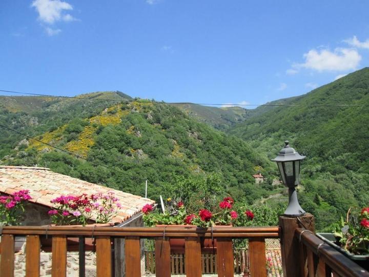 La vue de la terrasse