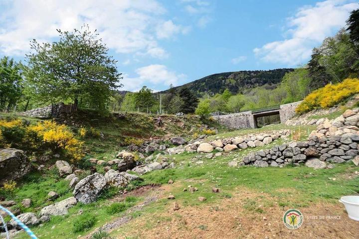 Vue du gîte avec les moutons de la propriété