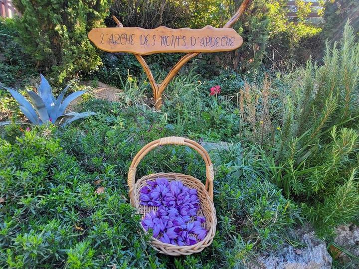 Bienvenue au gîte L'Arche des Monts d'Ardèche