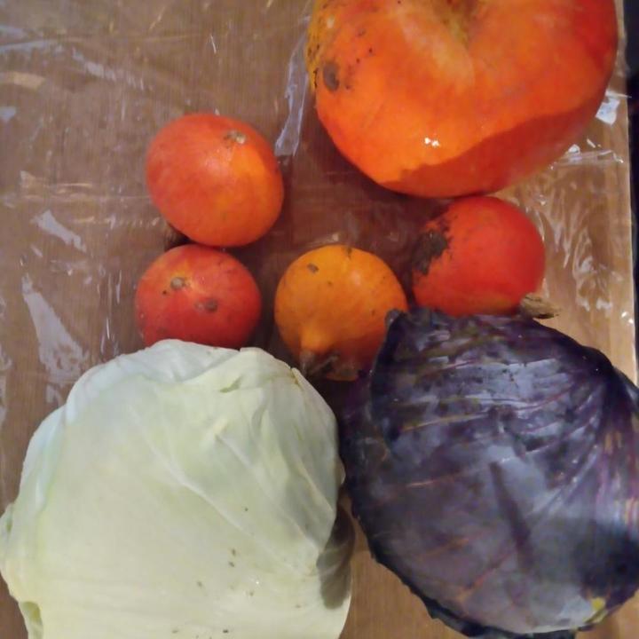 Quelques légumes d'automne que l'on peux offrir selon la cueillette sur votre tablée.