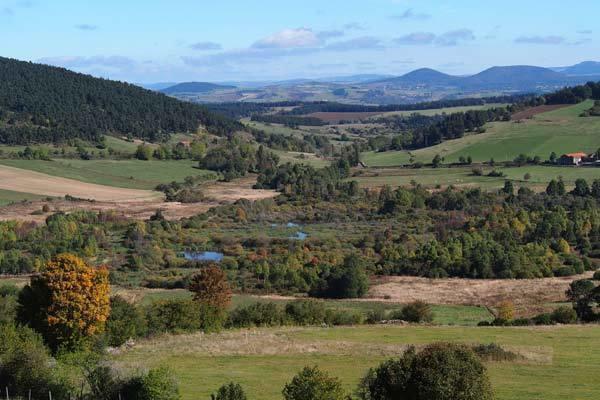 2013-oct-17---Narces-web-(46)