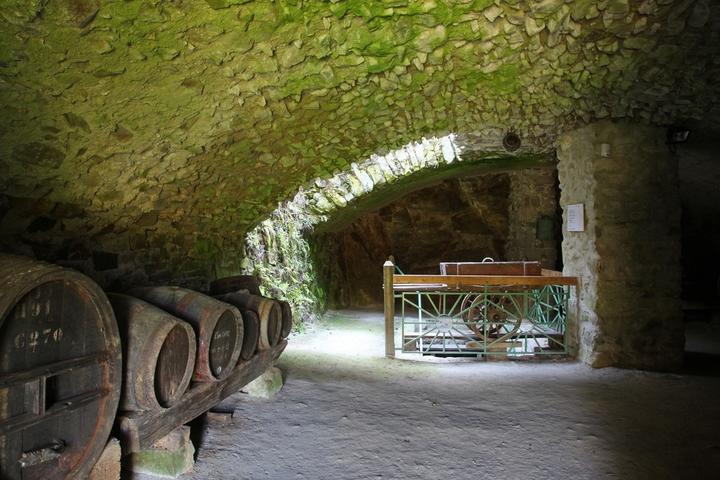 PCU Musée de la vigne et du vin