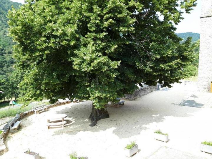 Vue depuis le gîte