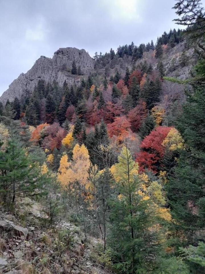 De toutes les couleurs, lieu dit SARA