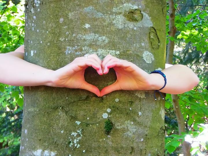 Le Vallon d'Armandine