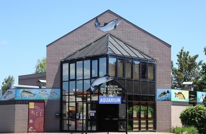 eve aquarium maison du saumon