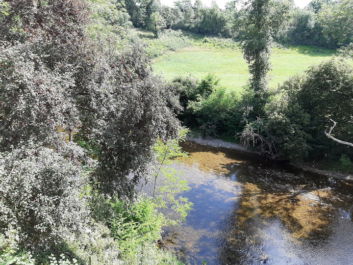 Le 1150 - La Maison de Nine