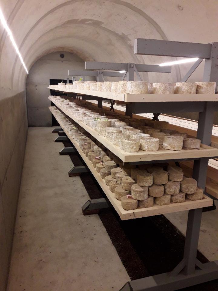 -4936780250541798780.jpg cave d'affinage