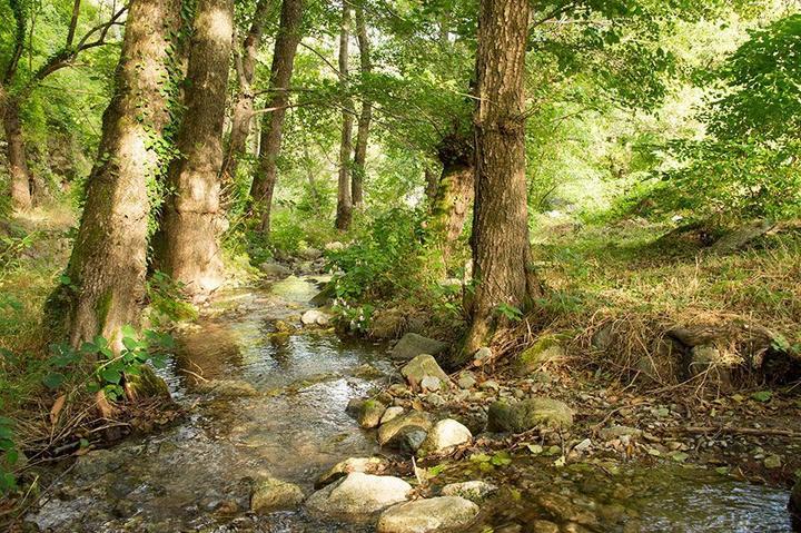 Les bords de la Ribeyre dans le parc du Martinel