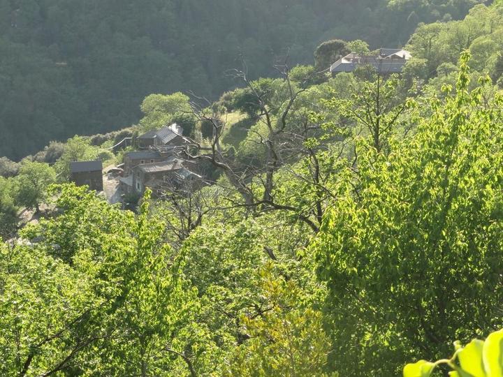 Hameau Vigne Merle