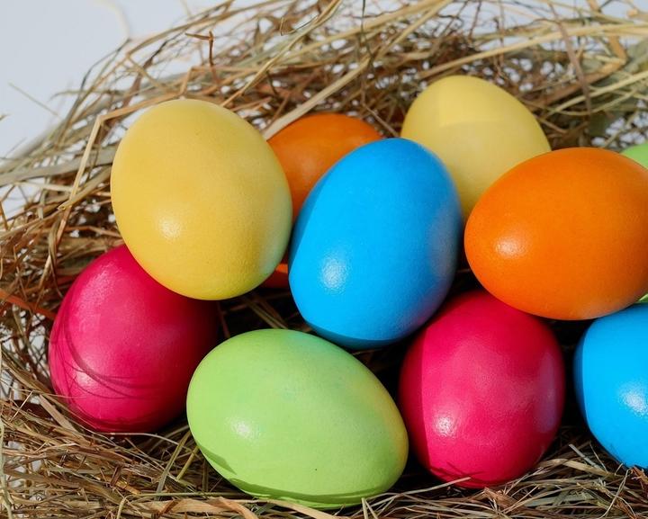 Chasse aux oeufs Chasse aux oeufs