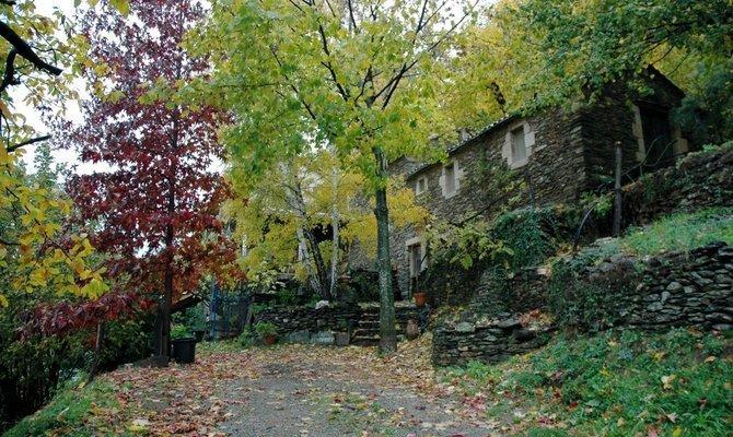 l'aulne d'alune l'aulne d'alune