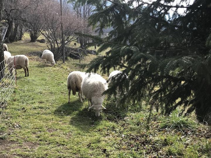 Le Vésinat Extérieur 1