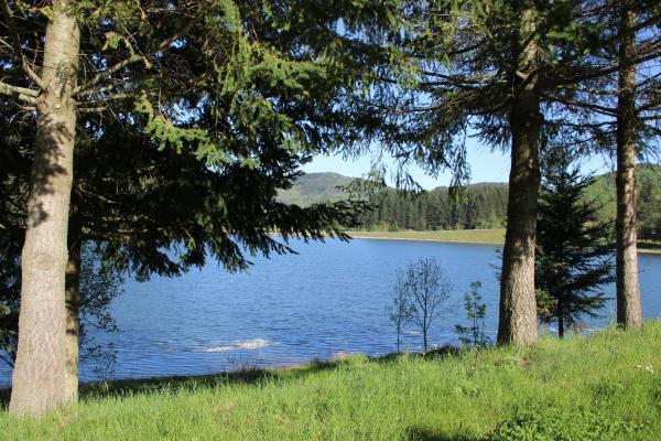 Le lac de St Martial