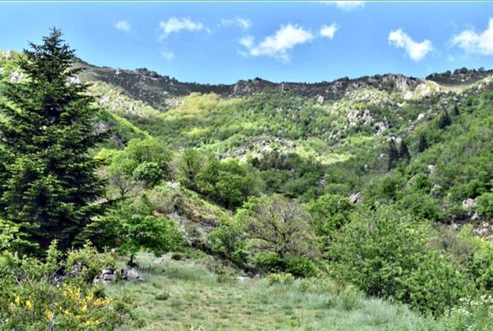 Vue sur le paysage ardéchois