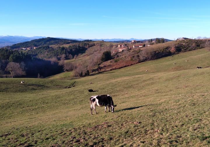Le Vallon d'Armandine