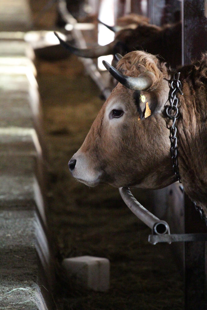 La porte du chardonnet visite de ferme