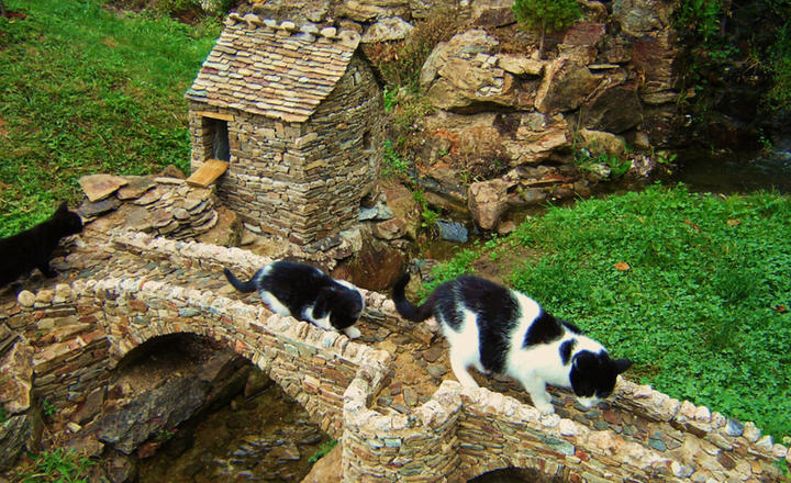 Ron des Fades Ya des chats sur le pont