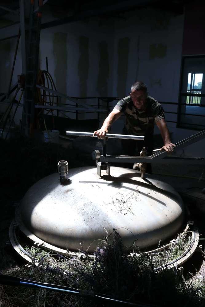 DISTILLATION Distillation en cours de Lavande