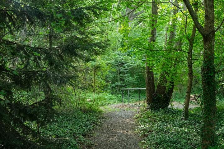 013_PERERA_S_CBNMC_DSF5520.jpeg Un parcours consacré aux plantes et aux végétations du Massif central