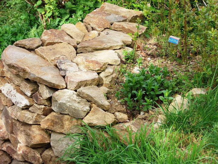 Le Vallon d'Armandine 19