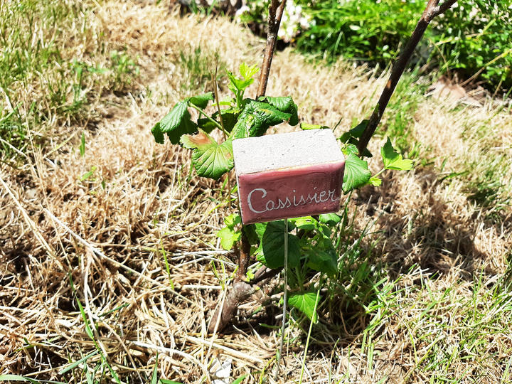 Le Vallon d'Armandine