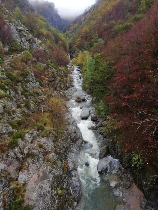 Ballades à proximité, la rivière