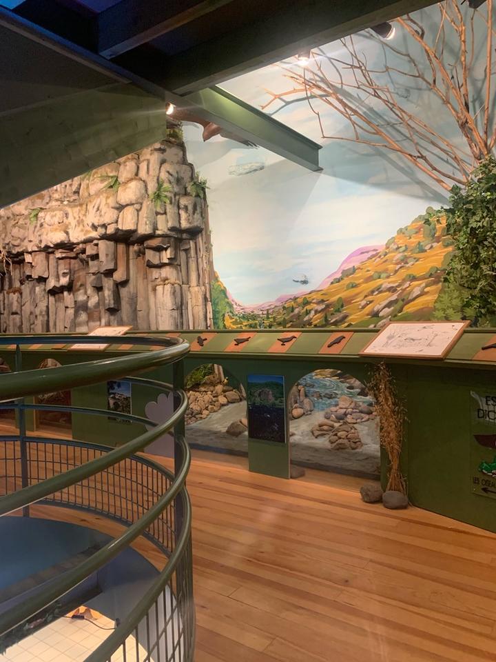 Maison de oiseaux et de la nature