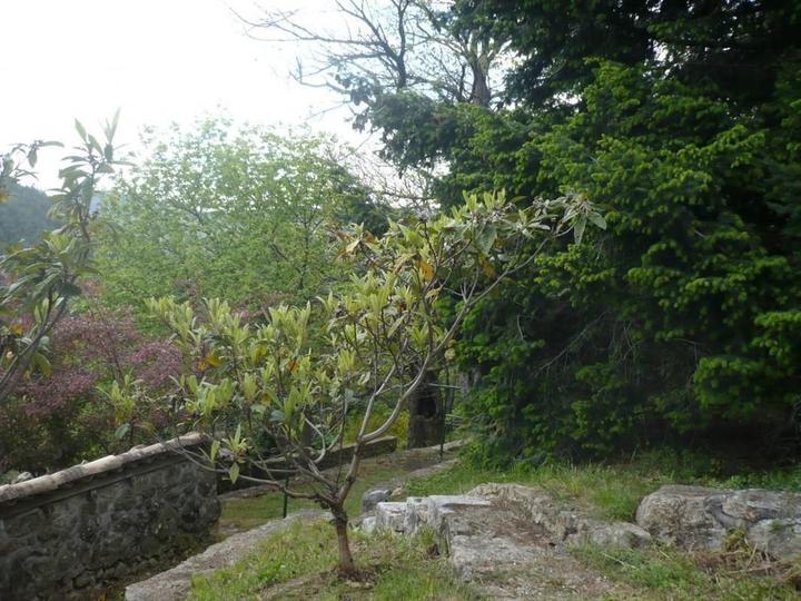 Les espaces privatifs