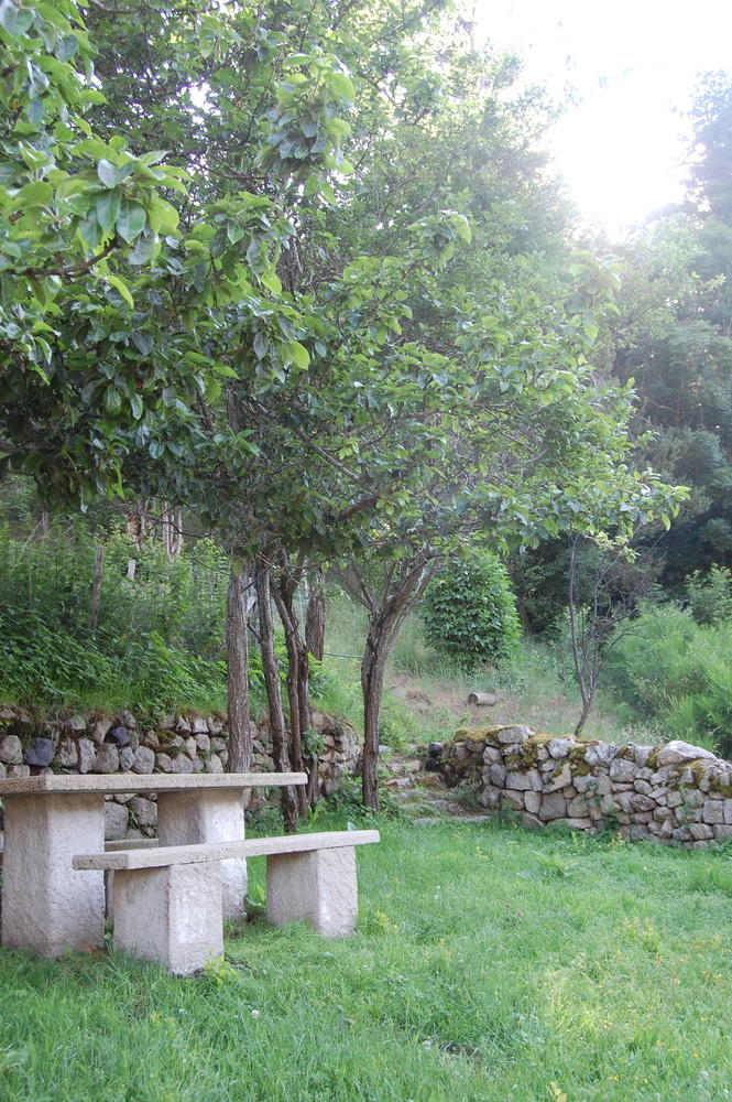 paisible montagne
