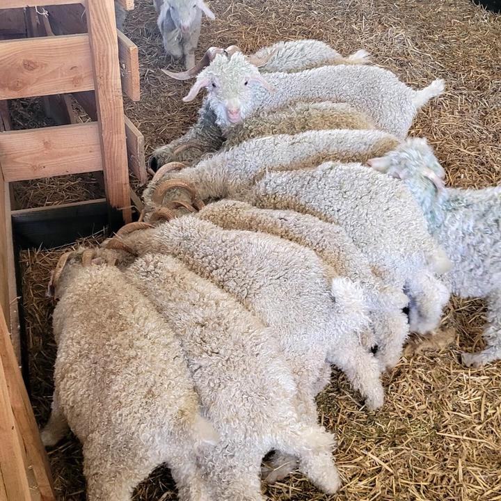 IMG_20220831_110440_706.jpg de retour: à l'abreuvoir!