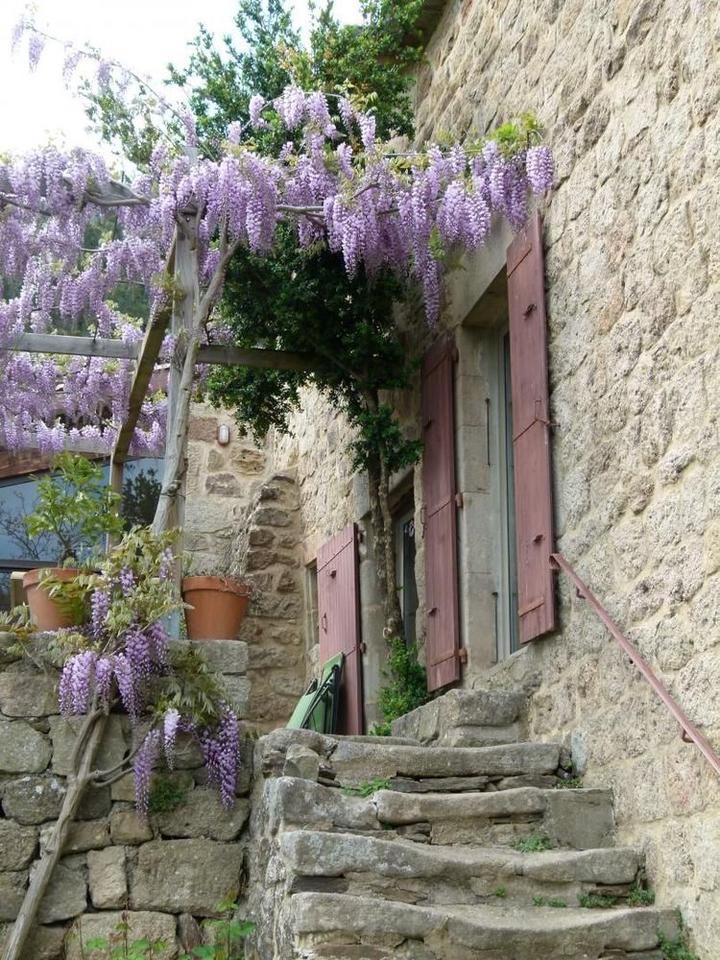 Escalier de l'ancienne maison