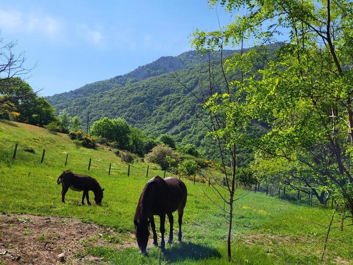 L'environnement