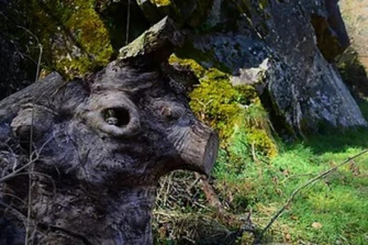 Philippe Lucas Philippe Lucas