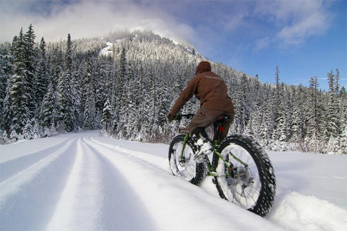 fat bike