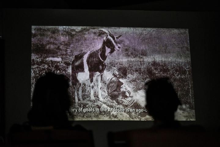 Terra Cabra - Peytot, ferme et atelier d'affinage