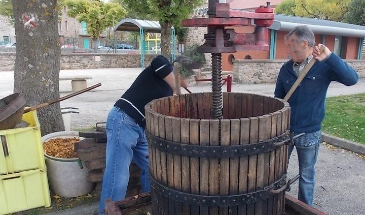 Fête de la vigne Fête de la vigne