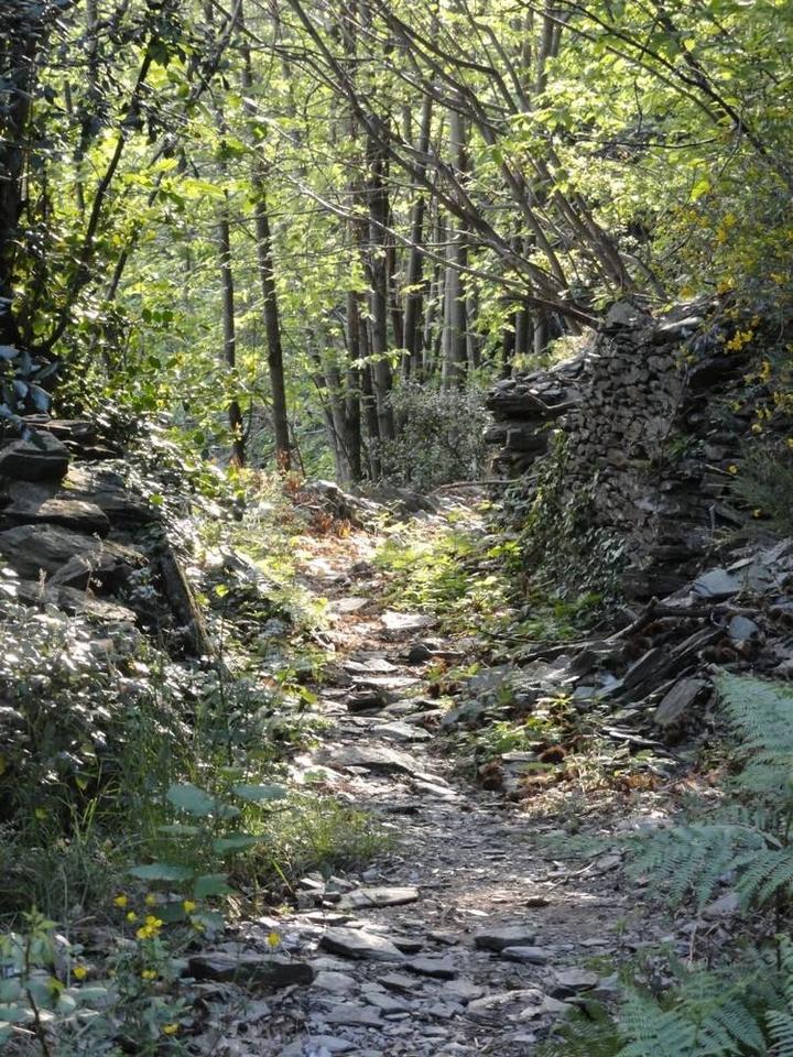 Chemin de randonnée