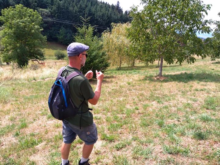 Le Vallon d'Armandine